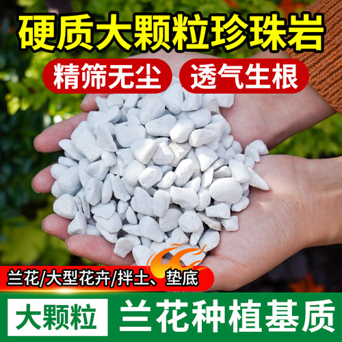 兰花植料除尘珍珠岩养花育苗通用