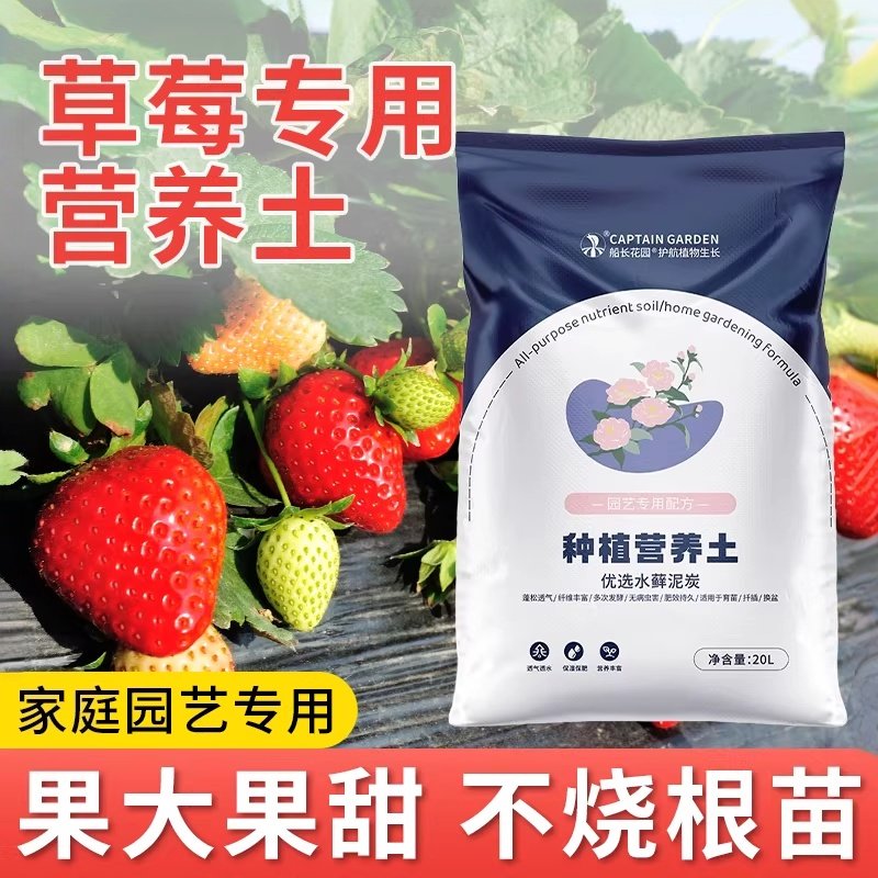 营养土草莓种植专用养花多肉种菜通用花土家用盆栽土壤有机泥炭土,鲜花速递/花卉仿真/绿植园艺,介质/营养土,淘宝优惠券,粉丝福利购,淘宝优惠卷