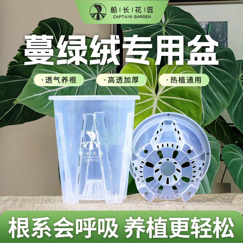 热植花盆天南星科兰花透气控根盆