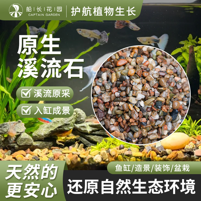 天然河沙溪流沙鹅卵石原生水族鱼缸乌龟水草缸多肉铺面小石子造景,鲜花速递/花卉仿真/绿植园艺,其它园艺用品,淘宝优惠券,粉丝福利购,淘宝优惠卷