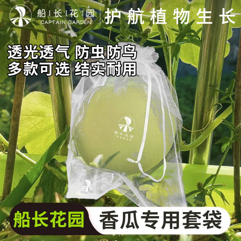 香瓜套袋专用袋瓜果防虫袋透气透光无花果甜瓜葡萄通用尼龙网纱袋