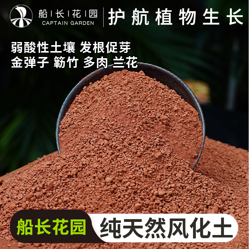 盆景专用种植蛭石船长花园颗粒