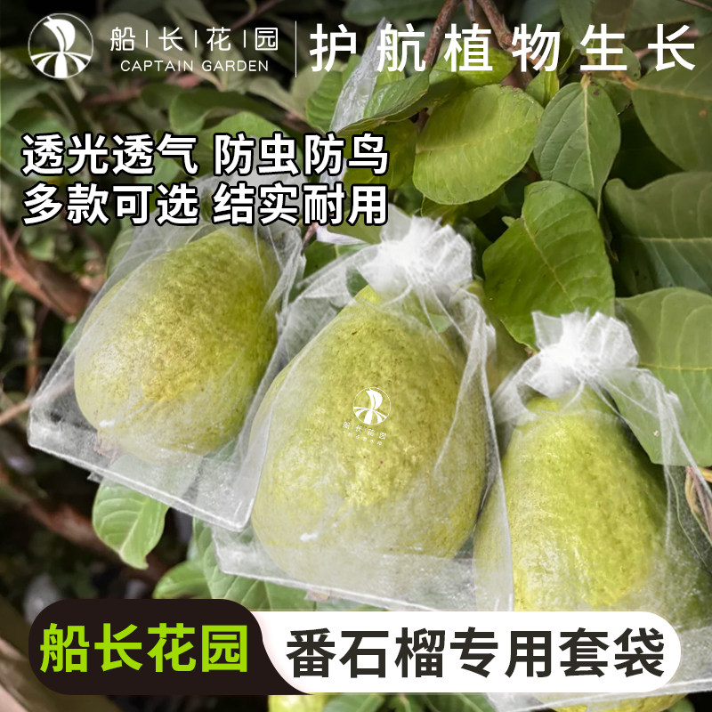 番石榴套袋防虫防鸟透气芭乐专用果袋石榴释迦通用型水果网纱袋