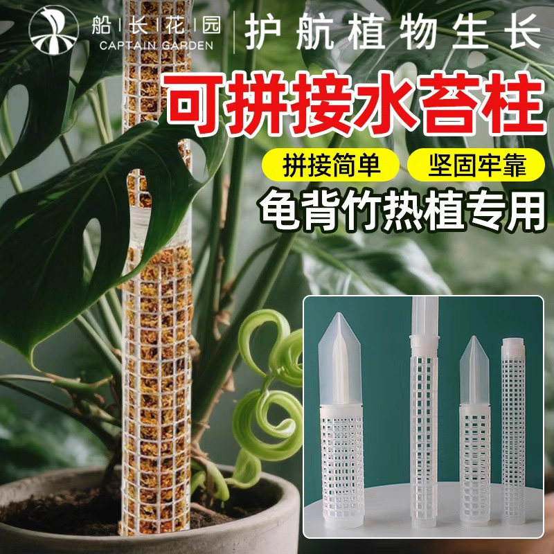 龟背竹水苔柱热植绿植支撑柱图片