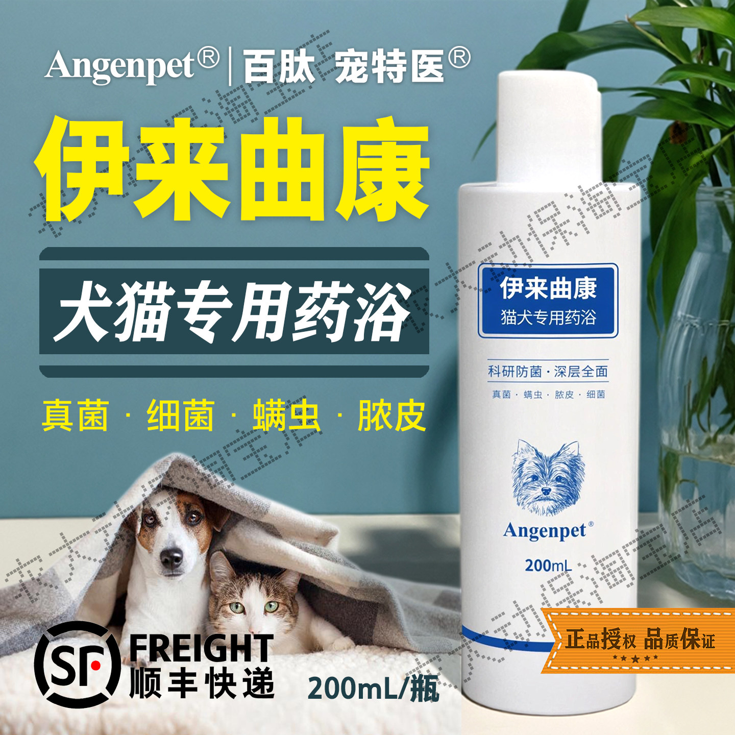 伊来曲康犬猫专用药浴猫癣狗癣真菌细菌螨虫脓皮安康泰百肽宠特医