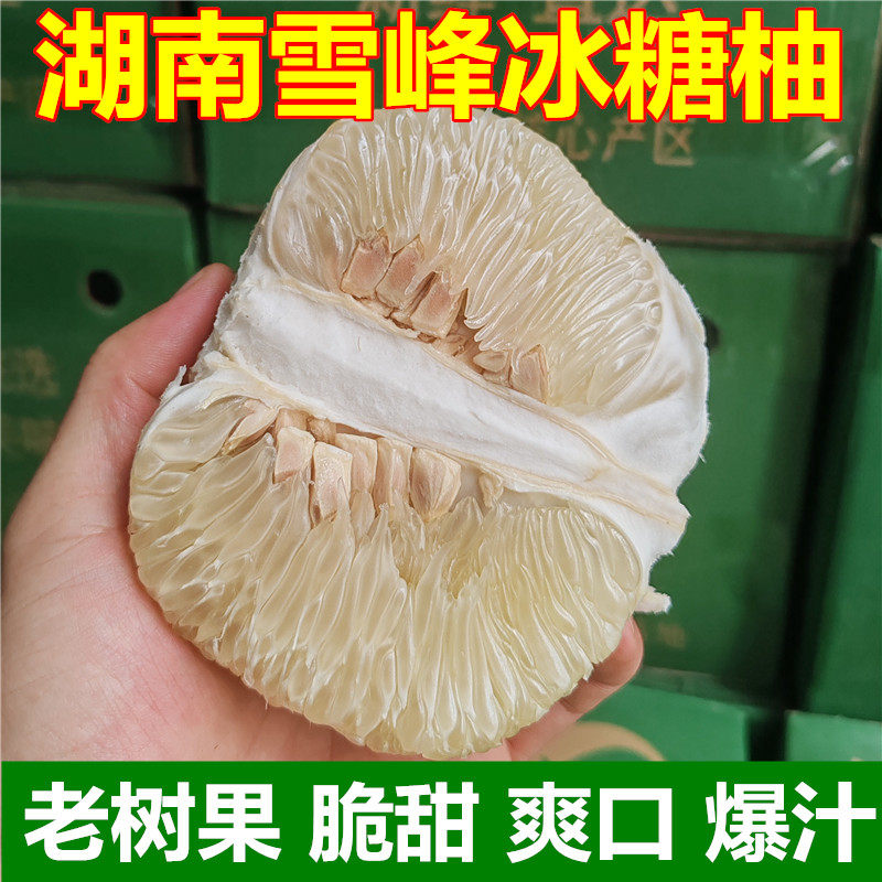 湖南怀化雪峰山冰糖橙新鲜水果小香柚脆甜多汁安江柚子小苦柚药柚