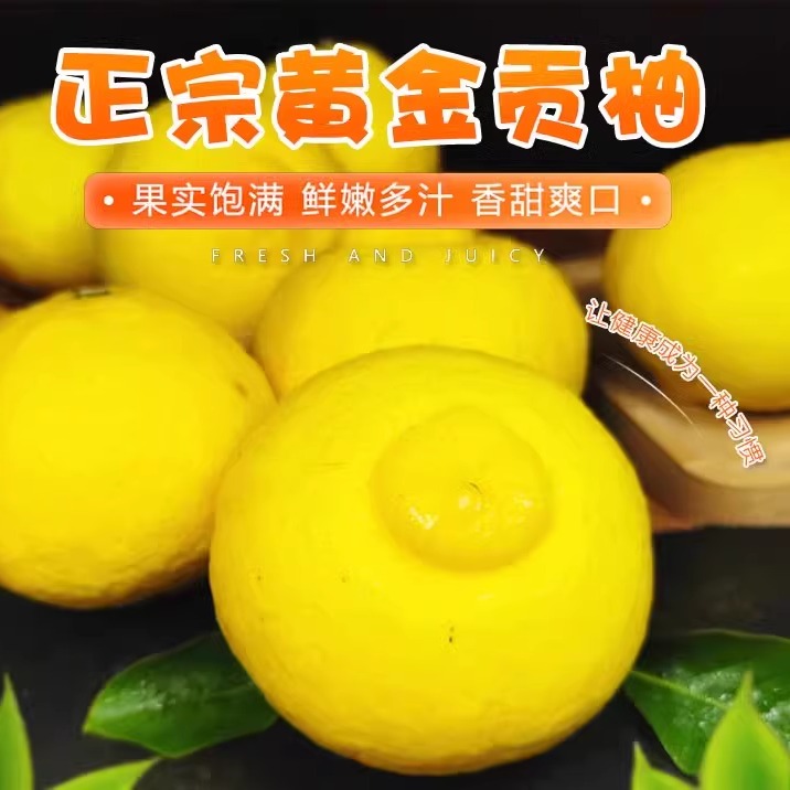 正宗湖南怀化黄金贡柚新鲜水果5斤包邮洪江春香甜柚象山青小柚子
