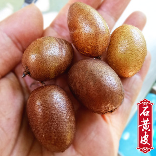 贵州新鲜野生石黄皮肾蕨果纯天然凤凰蛋天鸡蛋石枇杷现挖现发中药