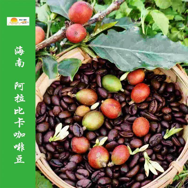 海南迈号炭烧咖啡 180g*10 条盒装 0 反式脂肪醇香即溶咖啡饮品