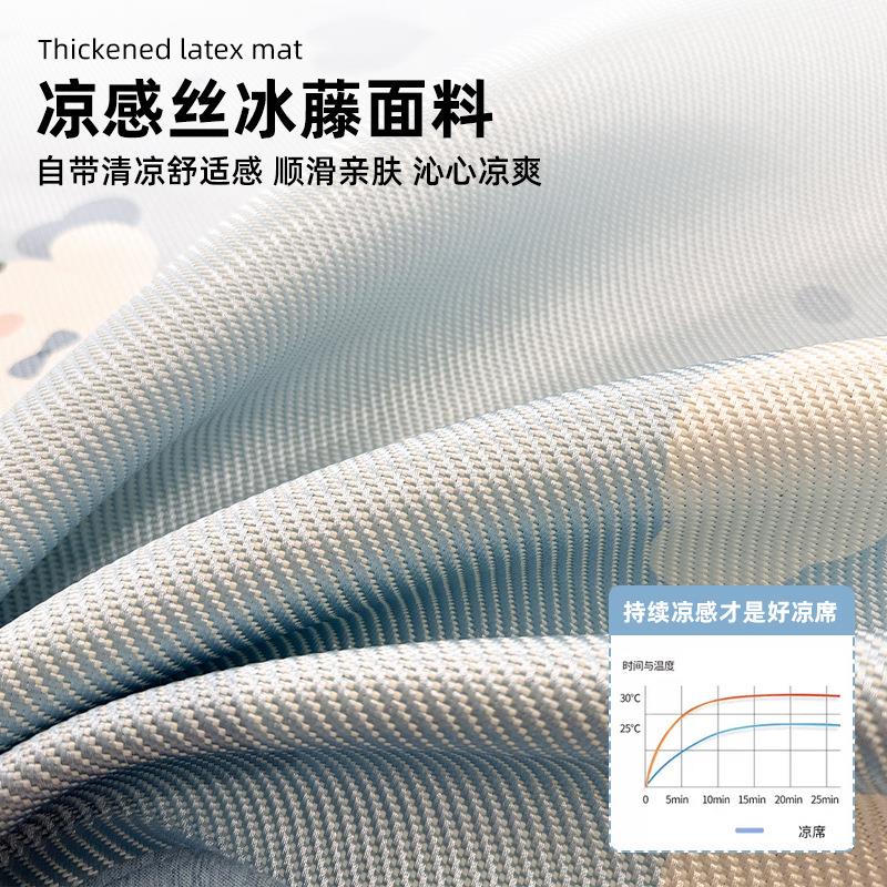 夏季冰丝枕套一对装儿童家用冰藤枕头套单个48cmx74cm枕芯内胆套