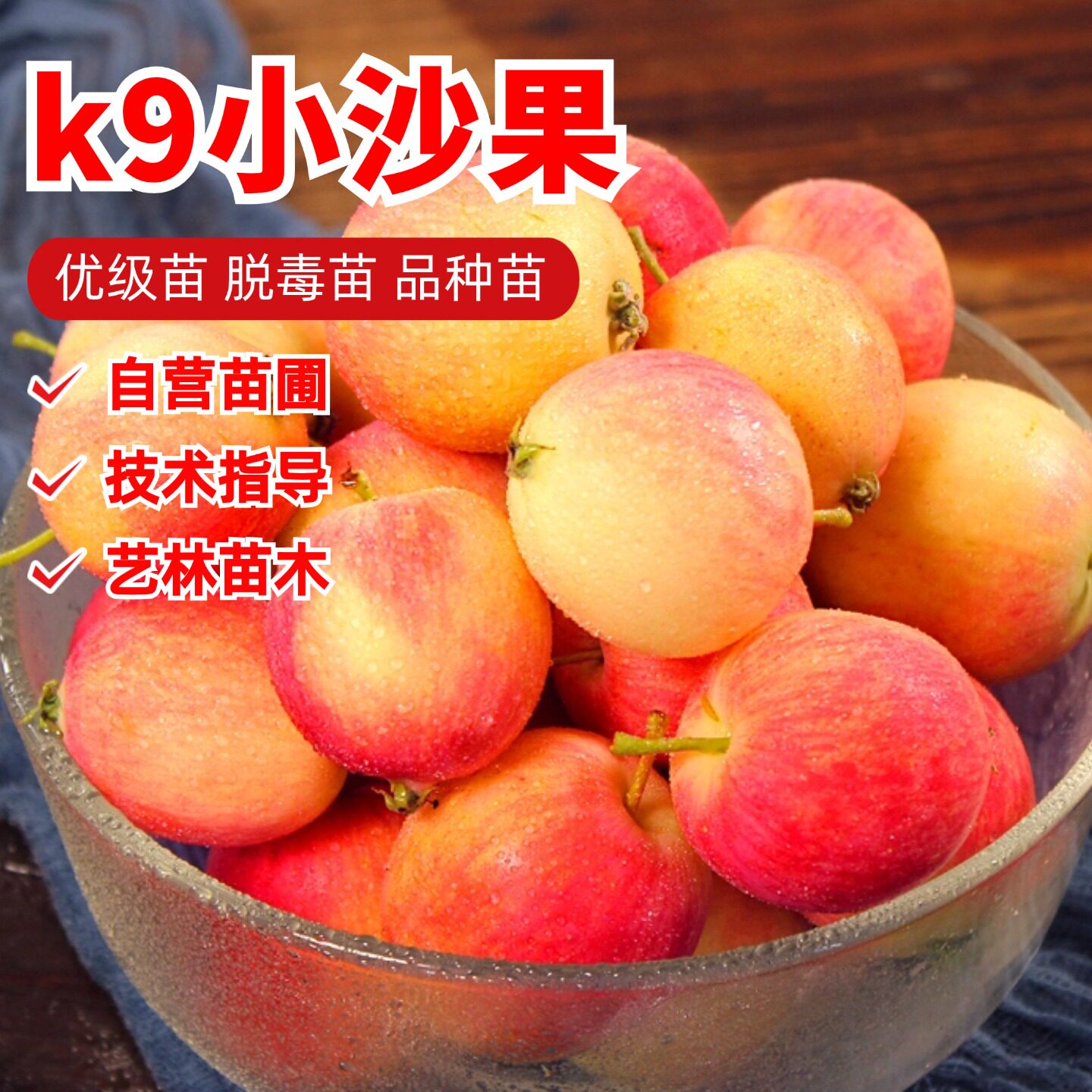 东北K9小苹果树苗早熟酸甜海棠果沙果苗七月鲜苹果苗盆栽庭院地栽图片