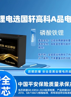 国轩黄金锂电12.8V40Ah电动车锂电池（JTM吉泰美）