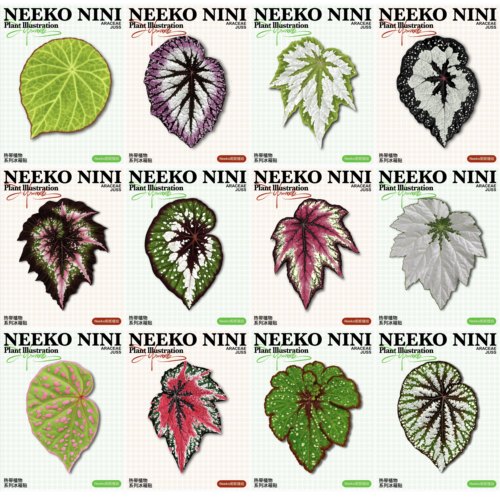 Neeko妮妮 热带植物系列秋海棠冰箱贴 磁吸