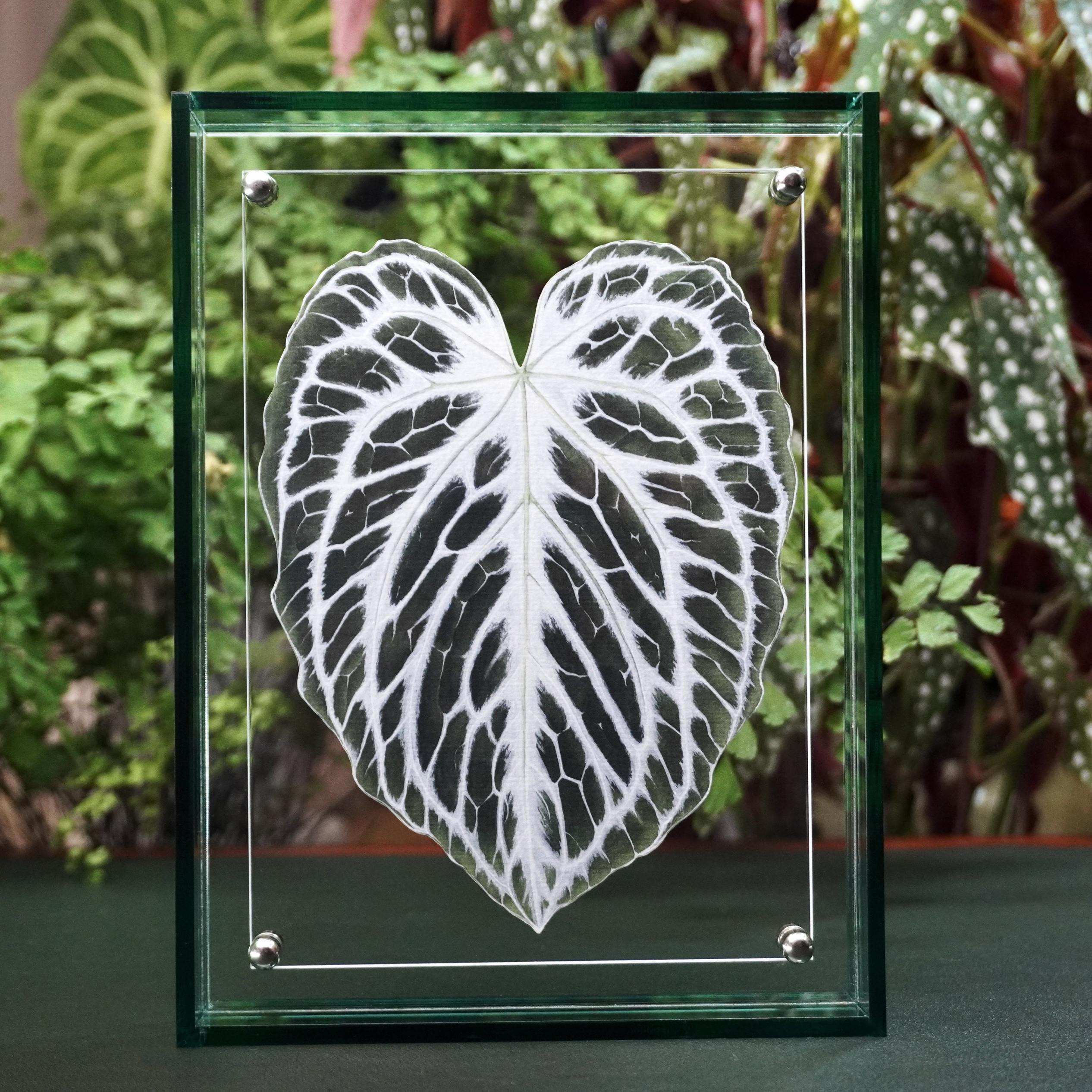 Neeko妮妮 手绘银虎花烛|艺术微喷复刻