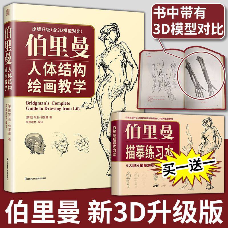 【官方正版】伯里曼人体结构绘画教学 人物素描速写入门基础临摹书美学大师人物手绘基础速写临摹书速写结构构造解剖中国美术学院