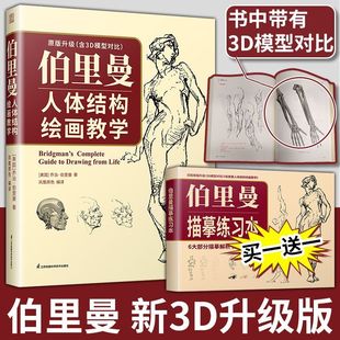 【官方正版】伯里曼人体结构绘画教学 人物素描速写入门基础临摹书美学大师人物手绘基础速写临摹书速写结构构造解剖中国美术学院