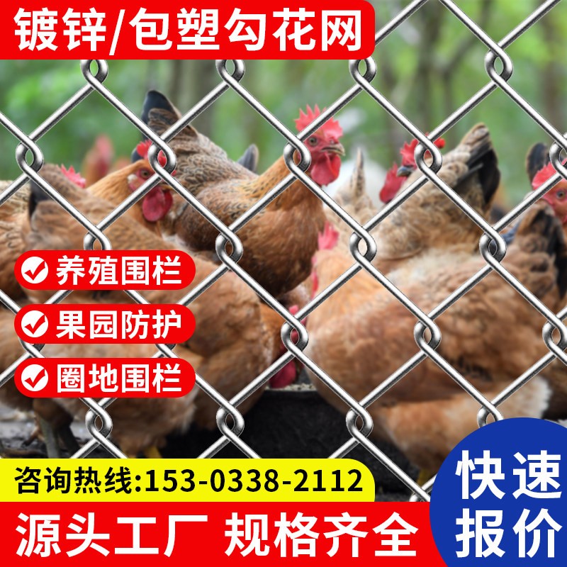 热镀锌勾花网养殖果园不锈钢金属装饰网河道围栏网圈地包塑勾花网