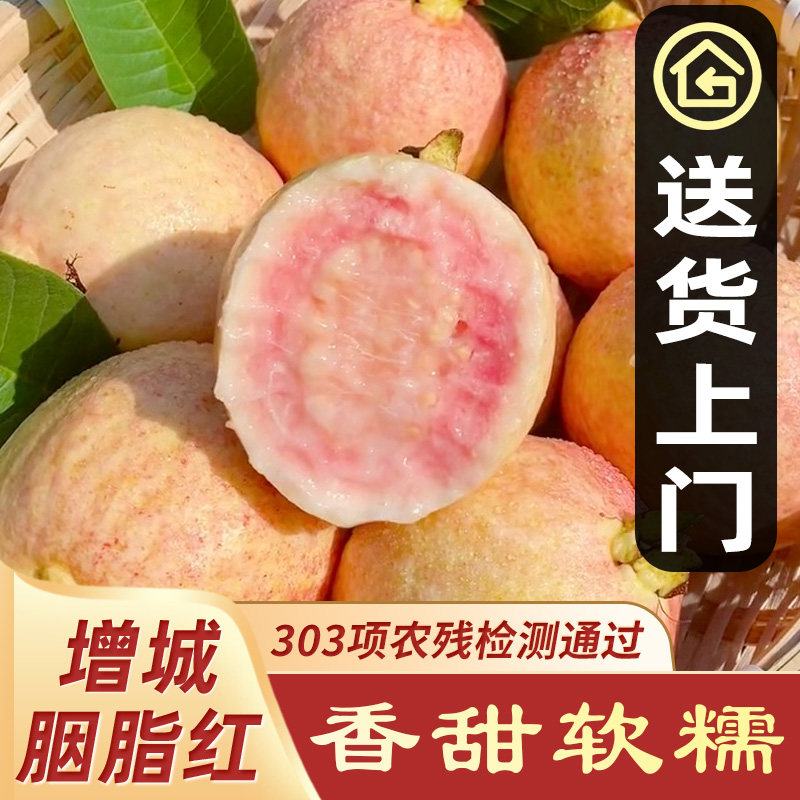 【精品送上门】广东增城胭脂红芭乐软糯红心番石榴鸡屎果孕妇水果