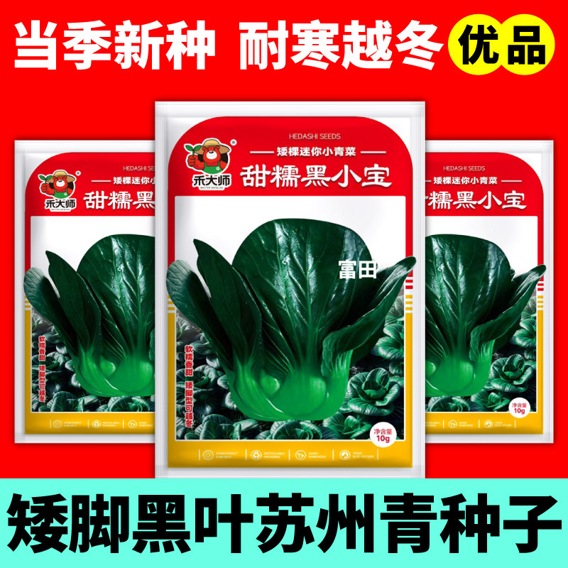 黑小宝甜糯小青菜种子苏州青矮脚青耐低温蔬菜种籽阳台庭院农家