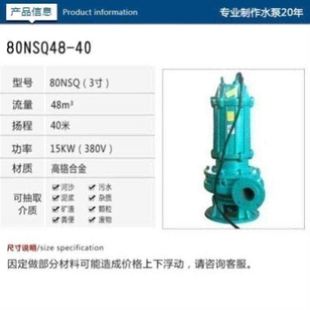 潜水抽沙泵耐磨吸沙泵抽泥机大型渣浆泵河底清淤泥浆泵污泥泵220v