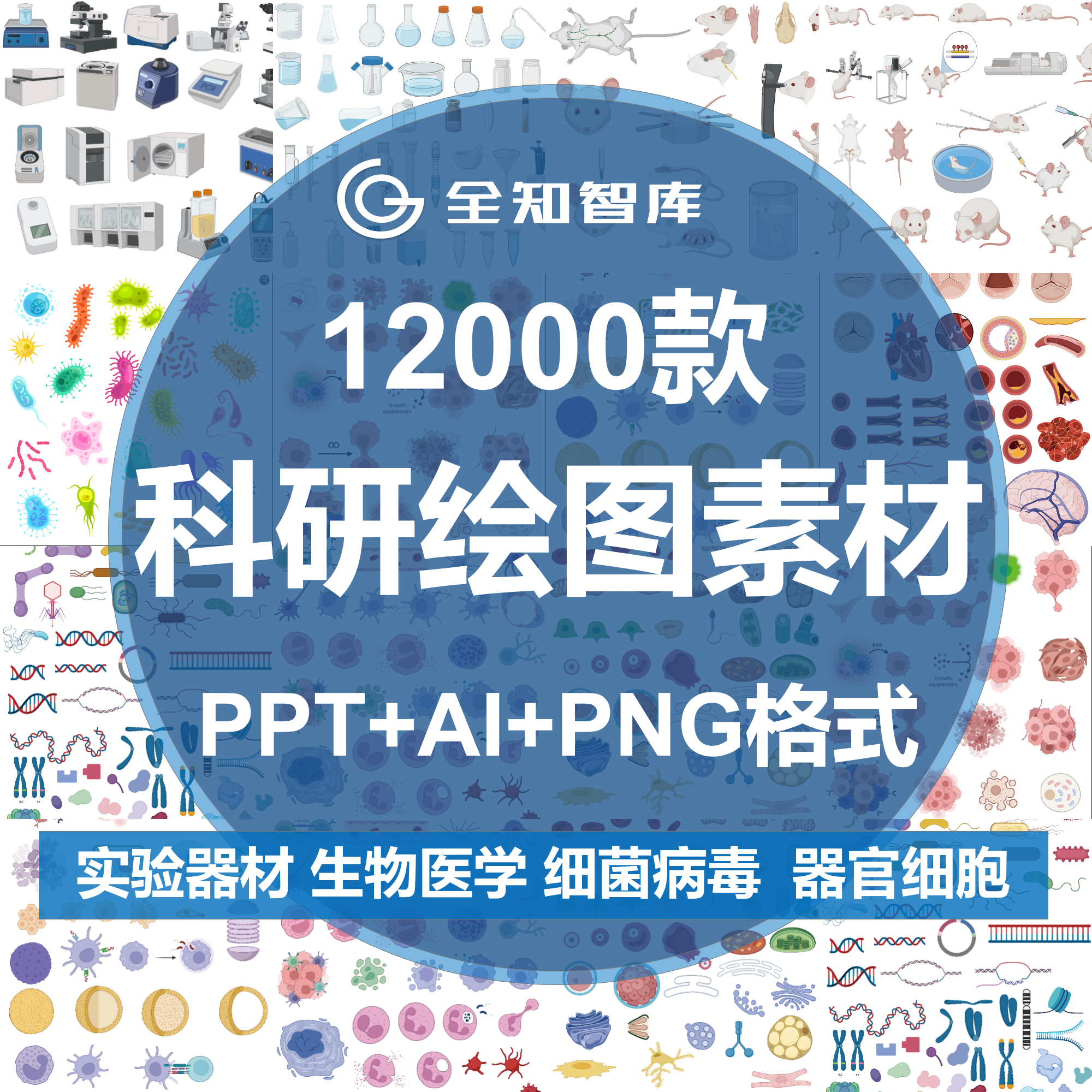 科研绘图素材PPT实验仪器设备化学生物医学器官细胞小鼠AI格式