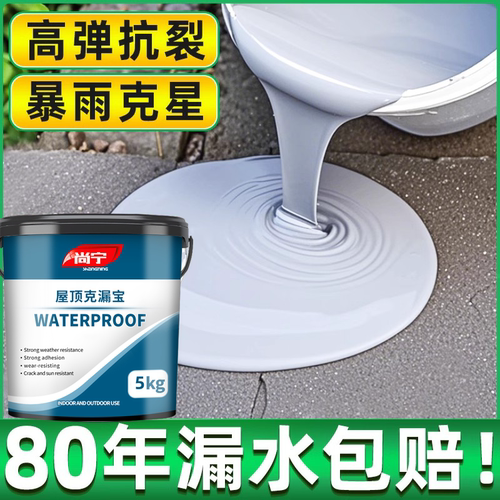 屋顶防水补漏裂缝渗水漏水堵漏王