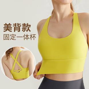 sports beautiful bra back vest with women shockproof fixed