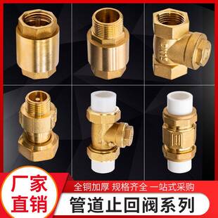 20ppr4分6止回阀全铜PE水表立卧式马桶pvc管道单向阀逆止热熔