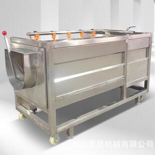 家用山楂冲浪式气泡清洗机石榴专业水浴式自动清洗无损坏