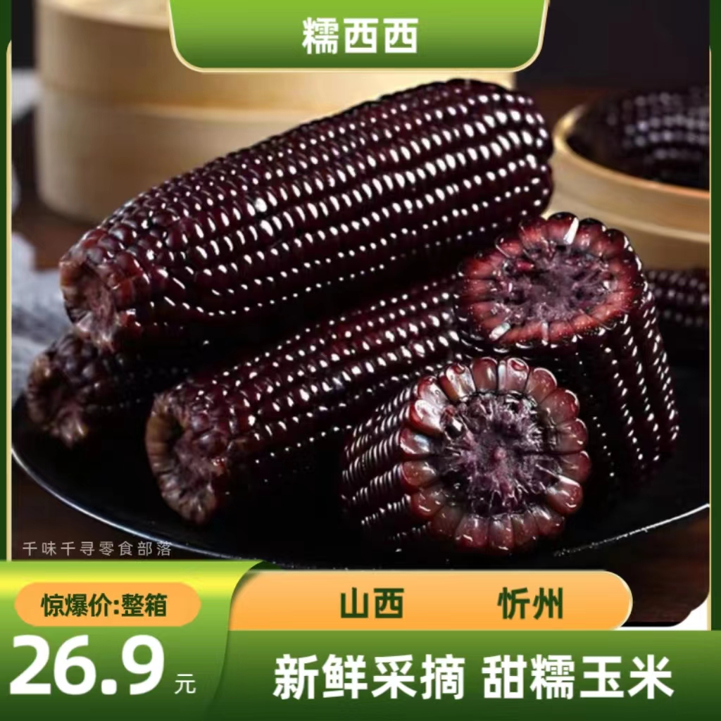 糯西西黑糯黄糯玉米新鲜采摘