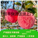 顺丰快递送货上门洛川苹果脆甜多汁2025年新果产地直发净4.58.5斤