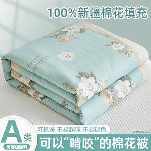 德国进口棉花夏凉被可机洗单双人夏季 被子被芯全棉纯棉夏被空调被