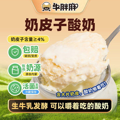 牛胖胖内蒙古特产手工鲜奶皮子酸奶早餐酸奶嚼着吃520g/1罐