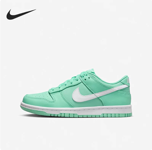 耐克Nike 绿白耐磨透气 女子低帮时尚百搭板鞋 DH9765-302