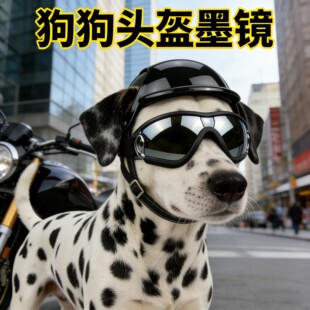 宠物狗狗斑点狗专用头盔帽子墨镜眼镜可漏耳朵安全帽户外运动机车