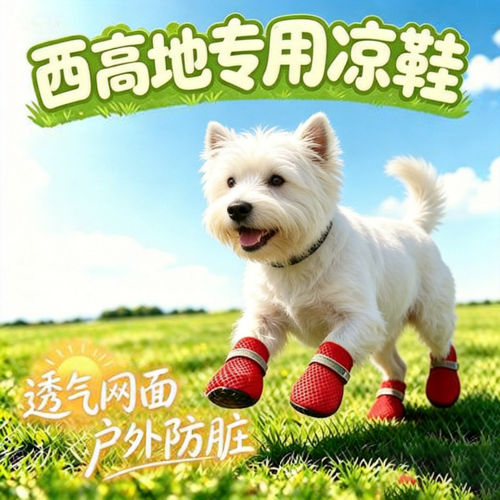 西高地专用狗狗凉鞋小狗鞋子夏透气宠物小型犬狗鞋夏季夏天遛弯鞋