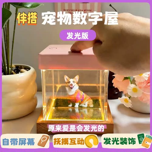 定制宠物3d全息投影仪盒子小狗猫咪金丝鼠永生数字屋裸眼立体投影
