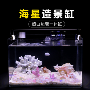 通透带泵带过滤器灯补水器 一体热弯超白玻璃缸 海星造景缸