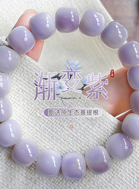 小红书渐变紫色菩提手串绕指柔学生佛珠文玩收藏菩提子盘玩手链女