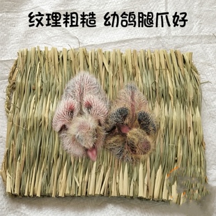 鸽子脚垫兔子草垫仓鼠可食用磨牙龙猫鹦鹉稻草编织宠物鸟笼防臭垫