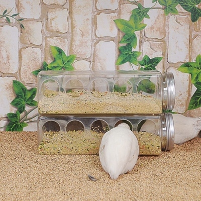 芦丁鸡全套防刨饮水器新款透明造景自动喂食器鸟用防溅鸟雏鸡食槽