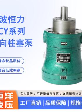 新款宁波恒力5/10/25/40/6/80/00/250/400MCY14-1B轴向定量高包邮