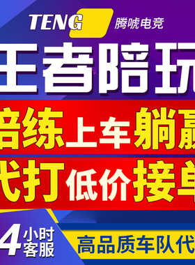 【代打/陪玩包赢】王者荣耀代打陪玩陪练排位上分车队躺赢巅峰赛