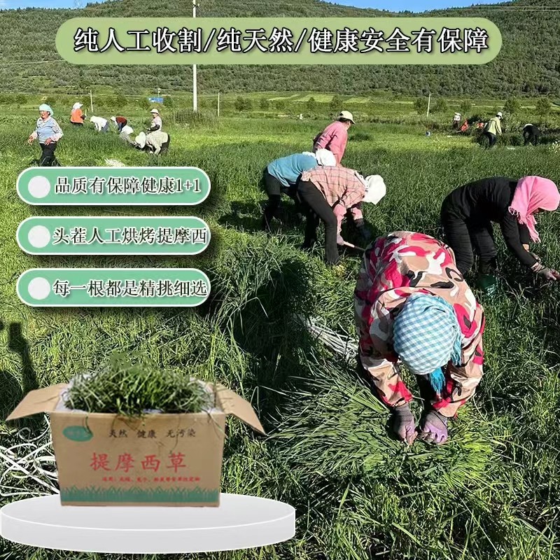 25年烘干头茬箱装北提毛重两斤净重750克兔兔龙猫豚鼠干草包邮,宠物/宠物食品及用品,兔兔干草,淘宝优惠券,粉丝福利购,淘宝优惠卷