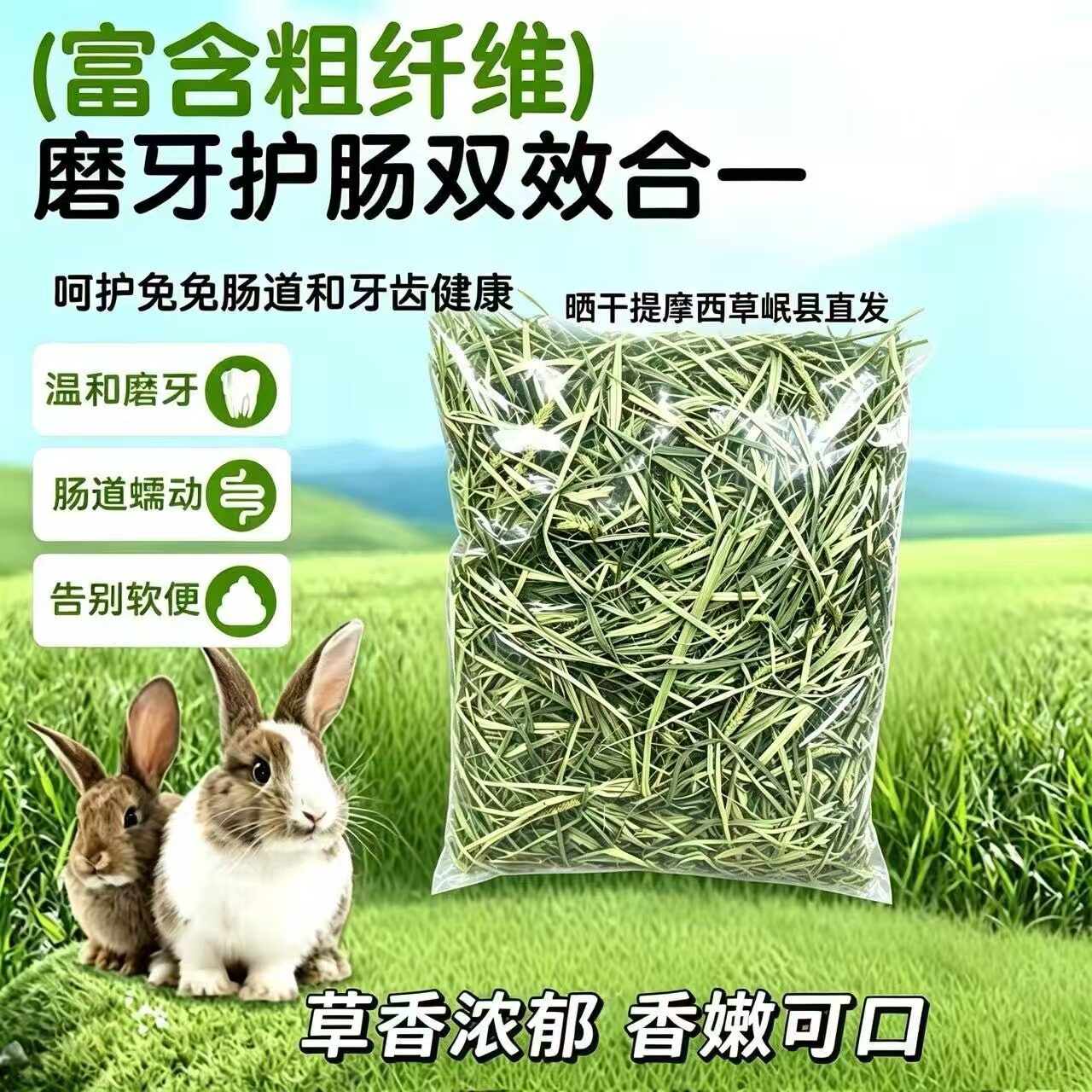 2026年晒干岷县北提提摩西草