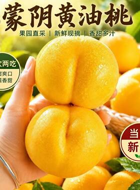 黄桃新鲜水果山东蒙阴现摘油桃
