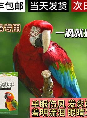鹦鹉眼病单眼伤风眼流泪肿胀闭眼一滴灵玄风虎皮信鸽常见病眼药水