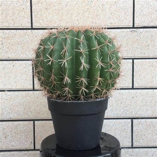 北欧墨西哥仙人掌球仿真仙人柱盆栽人造塑料大型摆件落地绿植假树