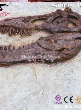 仿真恐龙骨架化石板博物馆展览馆科普化石骨架儿童开采互动沙盘