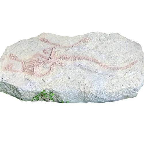 玻璃钢工艺仿真恐龙化石摆件装饰博物馆科普原石